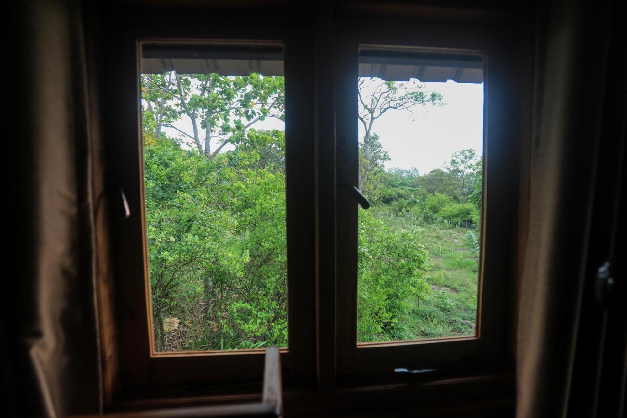Lion Wood Treehouse Villa Talkote Exterior foto