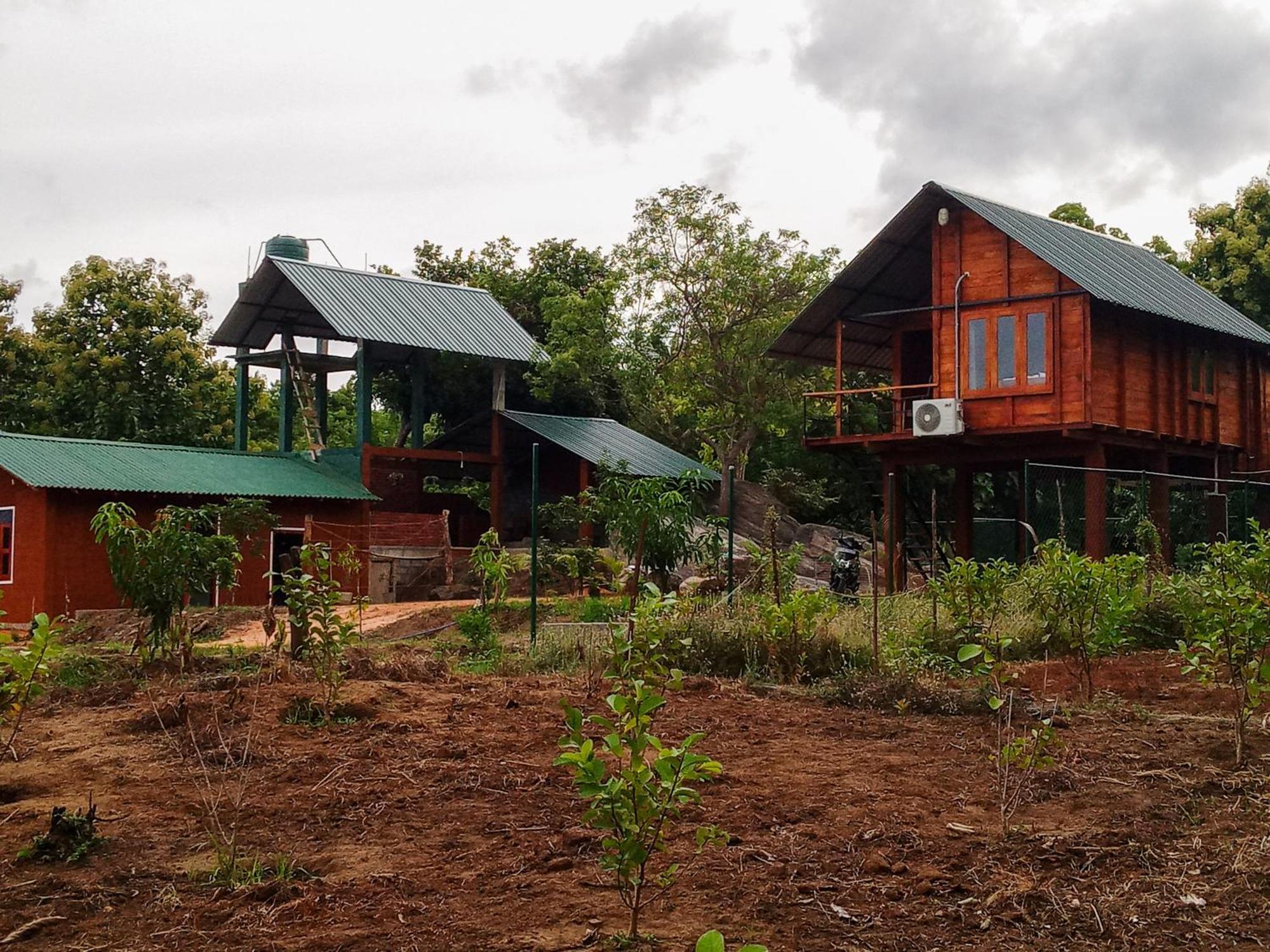 Lion Wood Treehouse Villa Talkote Exterior foto